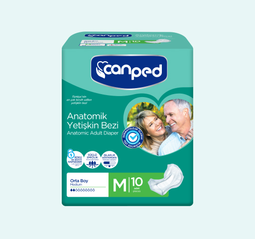 Canped Anatomik Yetişkin Bezi