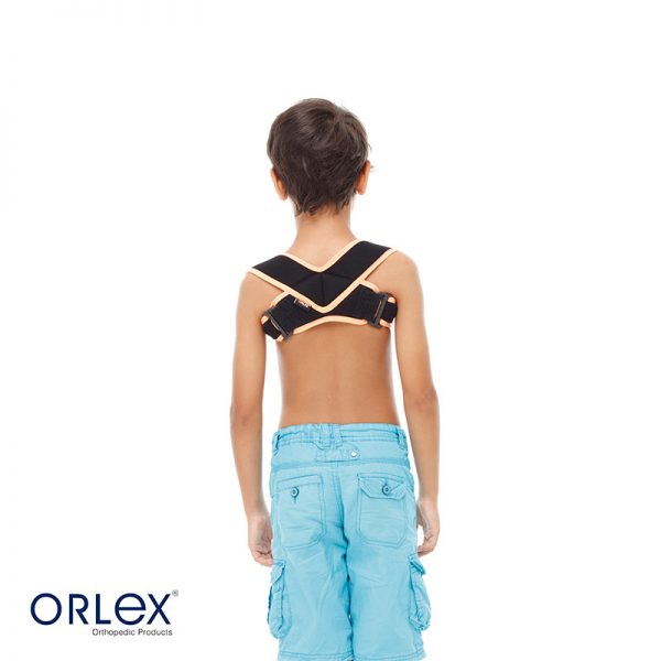 Orlex Klavikula Bandajı