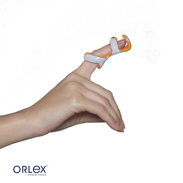 Orlex Kurbağa Ateli
